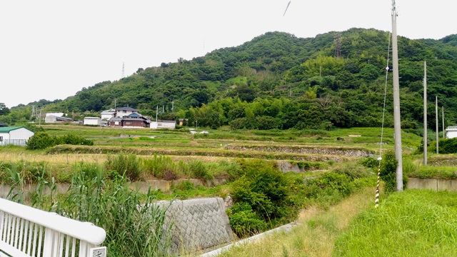 野島断層10.jpg