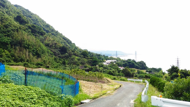 野島断層11.jpg